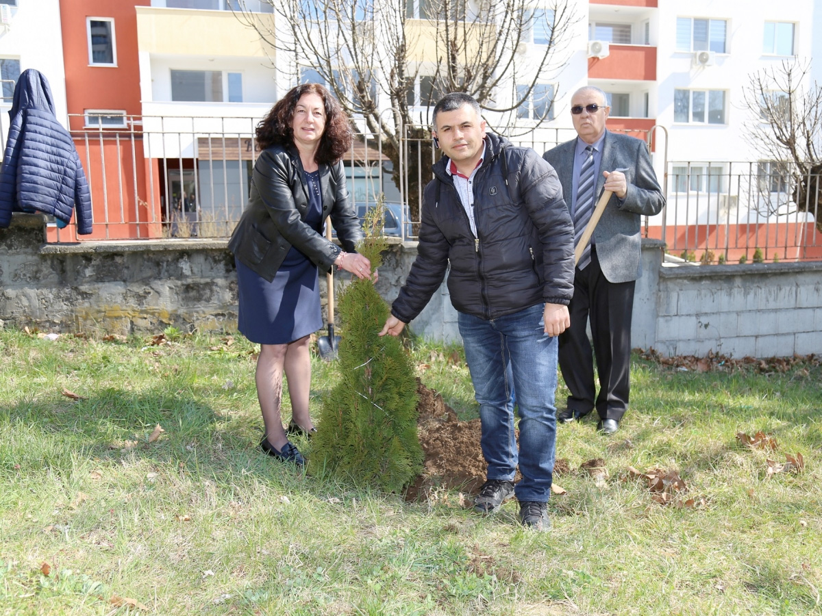 tarnovo